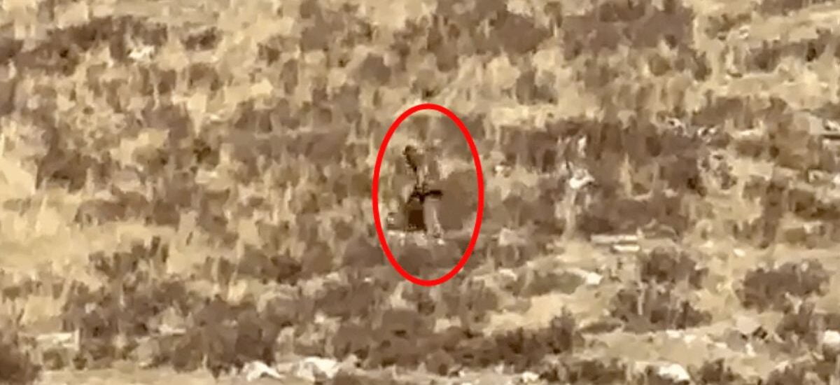 Bigfoot spotted on camera in Colorado